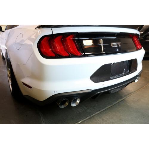 APR Carbon Fiber License Plate Backing 2018-up Ford Mustang